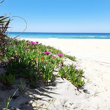 Guest House Apartamento Gallipoli